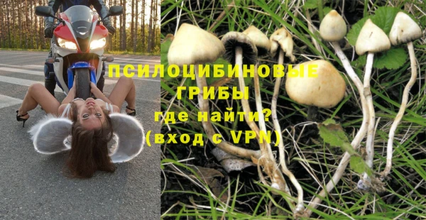 кокс Алексин
