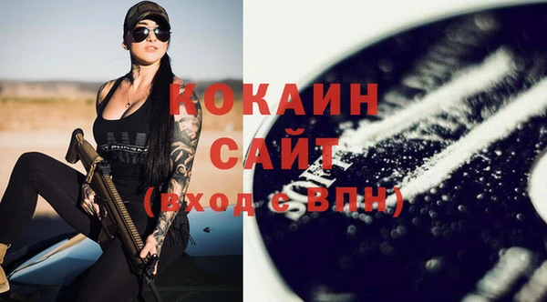 кокс Алексин